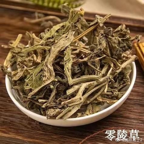 辛夷30g游戏截图