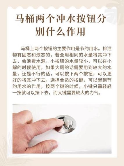 马桶为什么有两个按钮缩略图