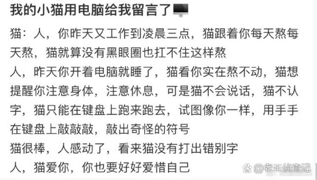 我的小猫赚钱靠谱吗缩略图