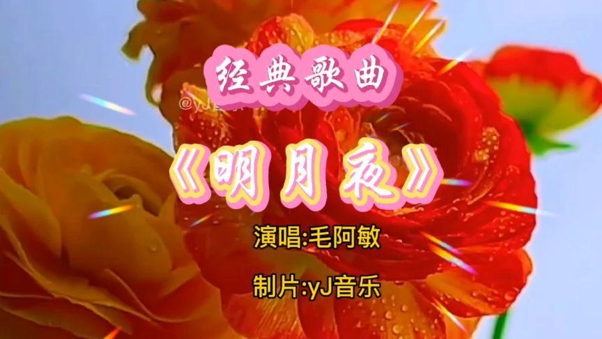 毛阿敏明月夜歌曲缩略图