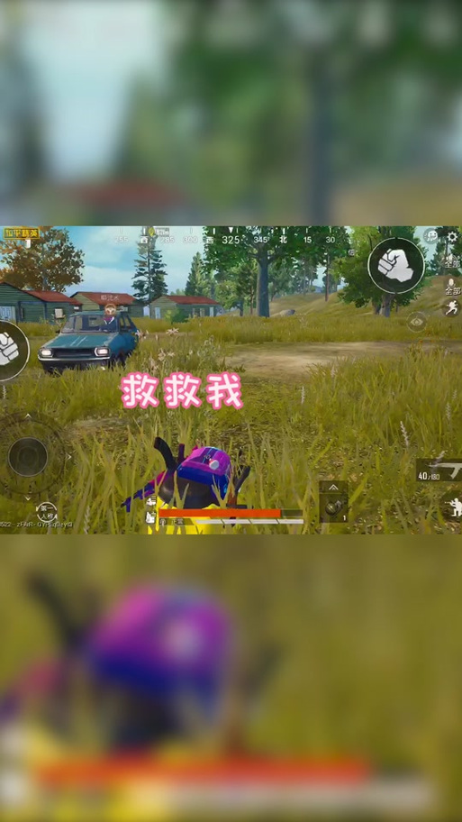 和平精英大师兄救救我
