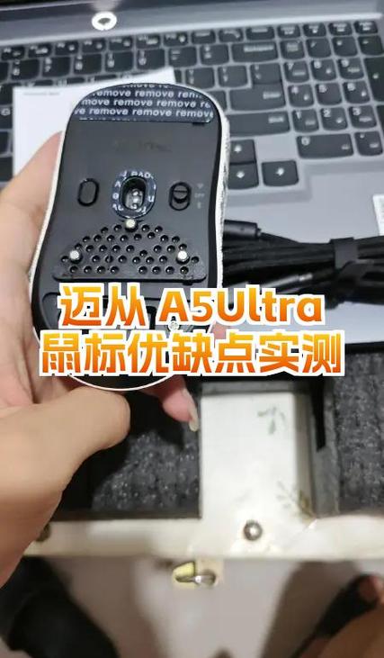 迈从是杂牌还是名牌