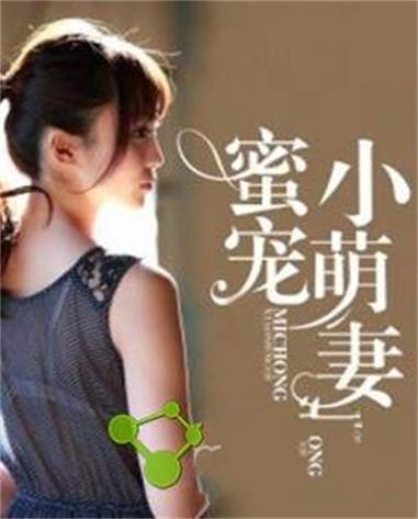 蜜宠小萌妻小说免费阅读缩略图