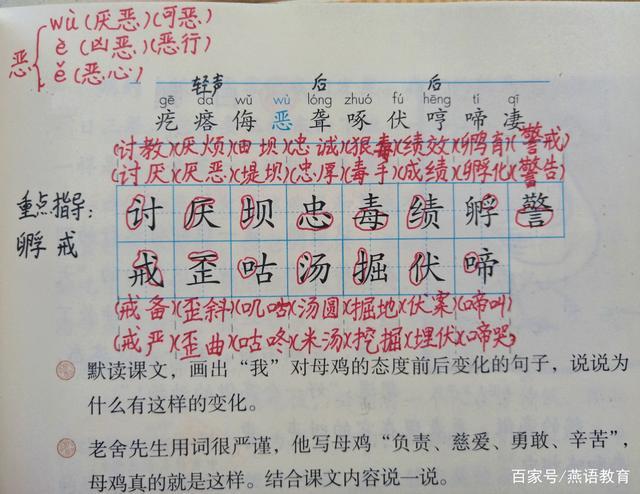 四年级下册母鸡课文缩略图