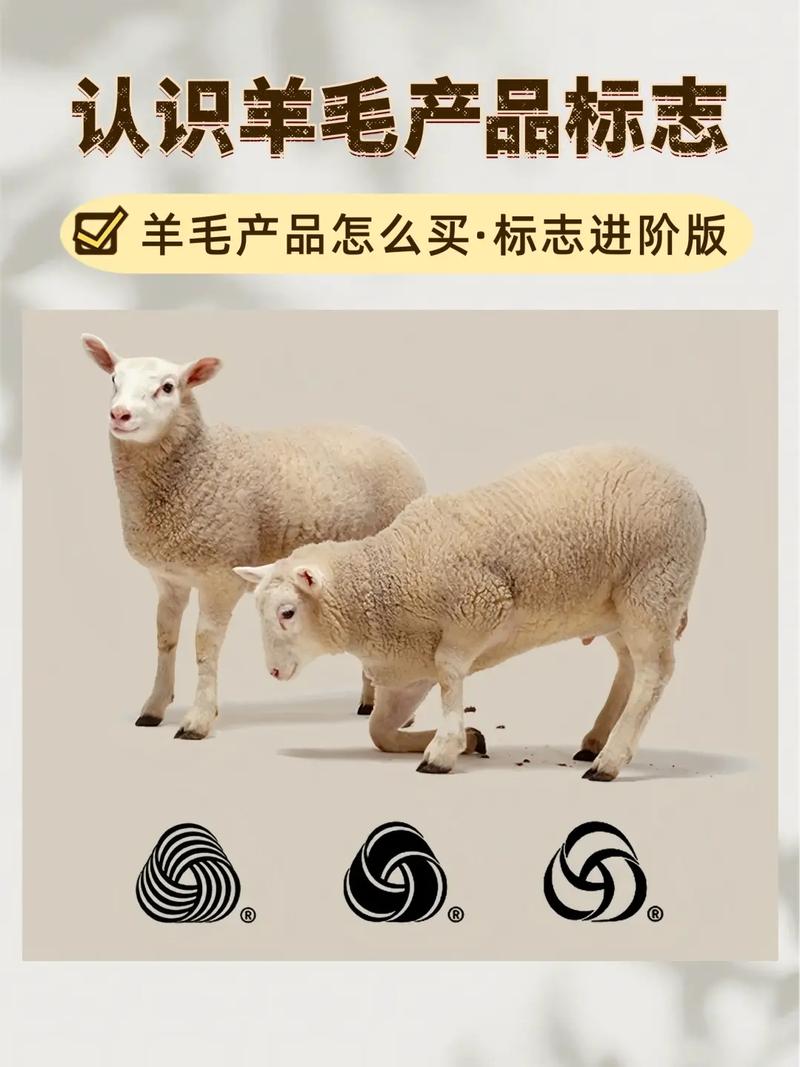 纯羊毛和绵羊毛法律上是否一样