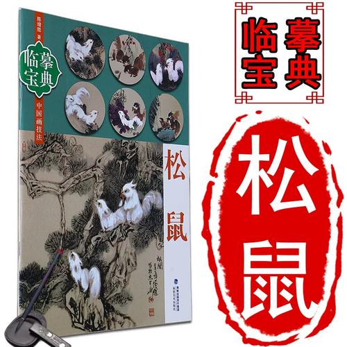 一公一母松鼠养一起会繁殖吗