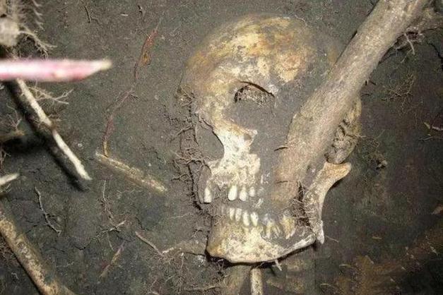 死人骨头可怕吗缩略图