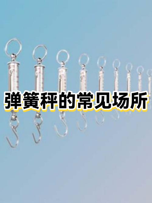 弹簧秤多少钱一个图标