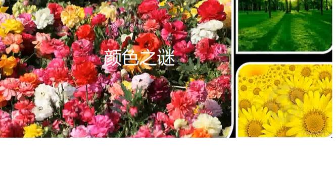 被拉黑是绿色还是蓝色图标