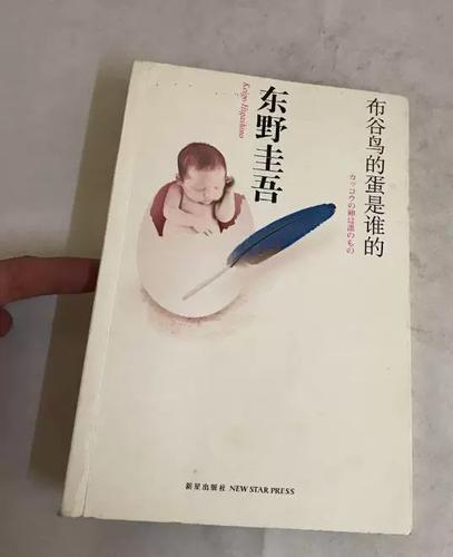 布谷布谷的小说缩略图