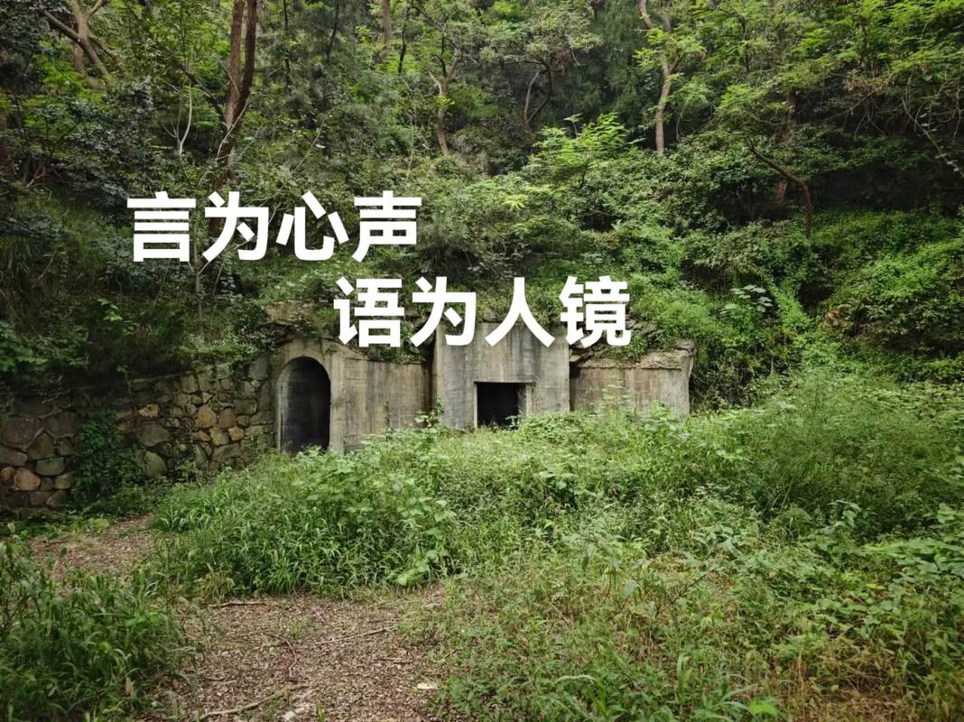 树洞现在改名叫什么了缩略图