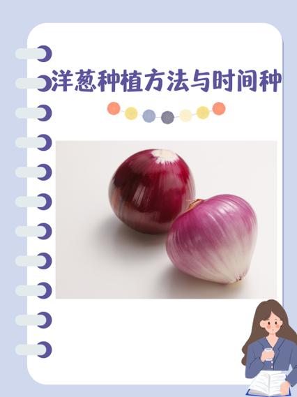 洋葱免费阅读更新时间游戏截图