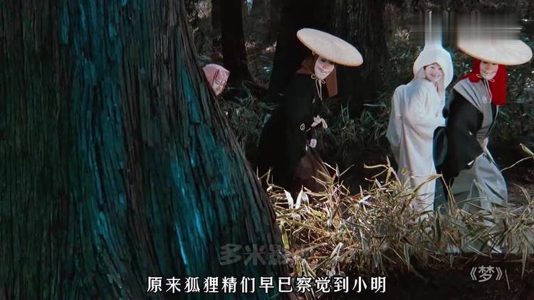 狐狸娶亲视频缩略图