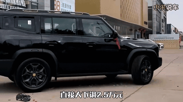 买捷途旅行者后悔死了缩略图