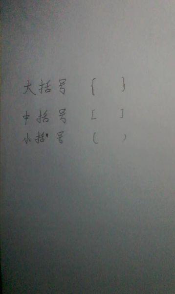 大括号的样子