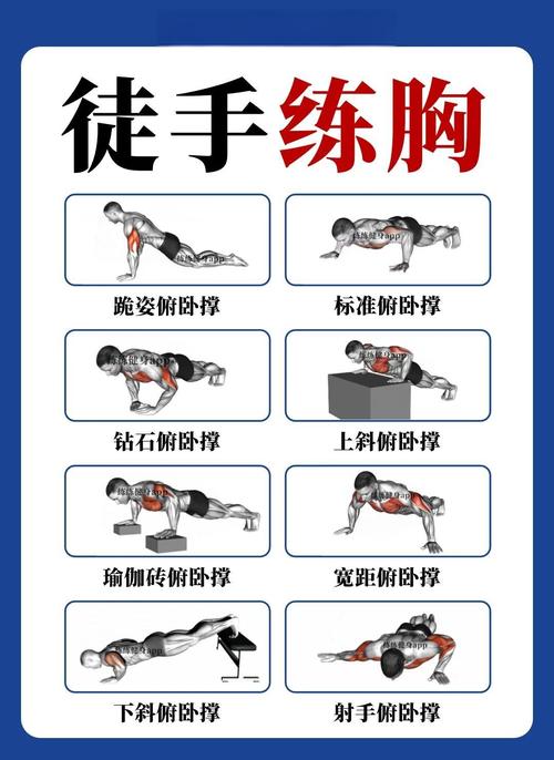 家中练胸肌最好的方法图标