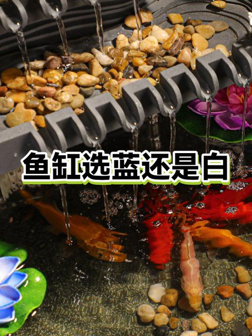 鱼缸白底好还是黑底好缩略图