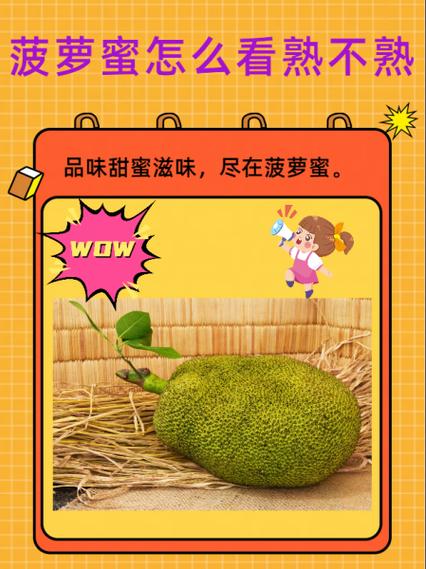 菠萝蜜肉硬硬的是不是没熟缩略图