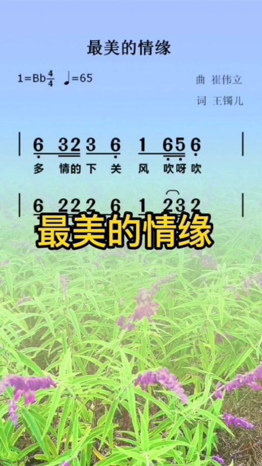 《最美的情缘》缩略图