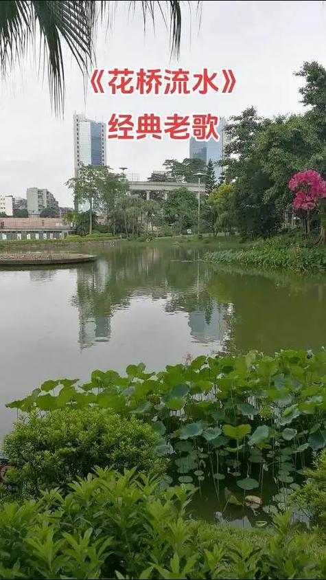 花桥流水相似的对唱歌曲缩略图