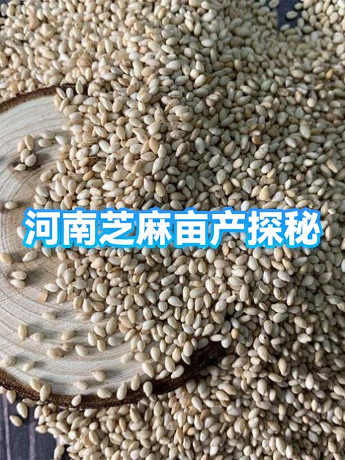 芝麻原产地游戏截图