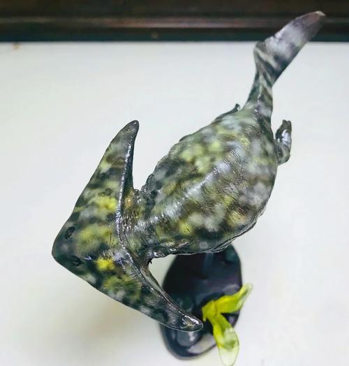 怀旧服小德水栖形态任务缩略图