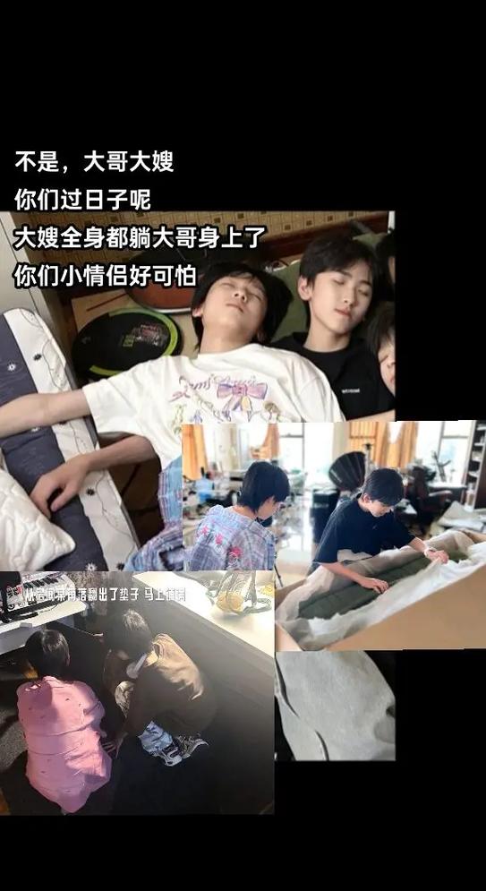 All杨博文小说文图标