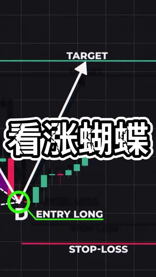 蝴蝶号能挣钱吗