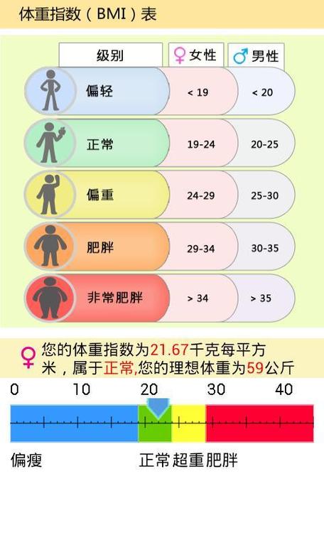 女性bmi计算公式计算器缩略图