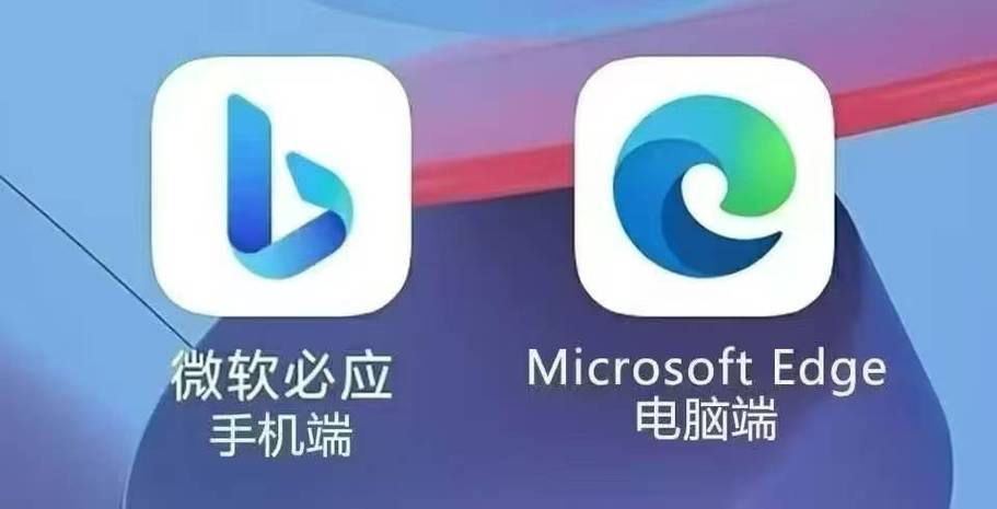 必应词典和微软翻译缩略图