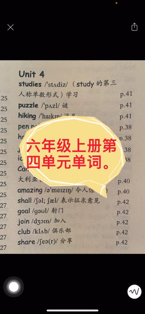 人教版六年级英语上册单词表缩略图