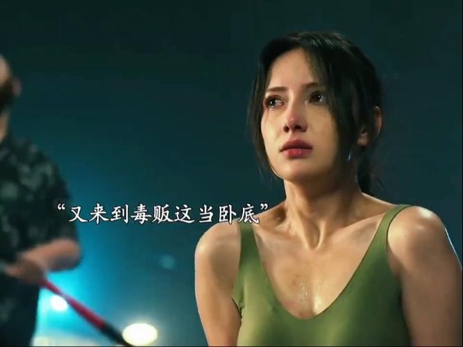 香港卧底女警献身大毒枭第16集游戏截图