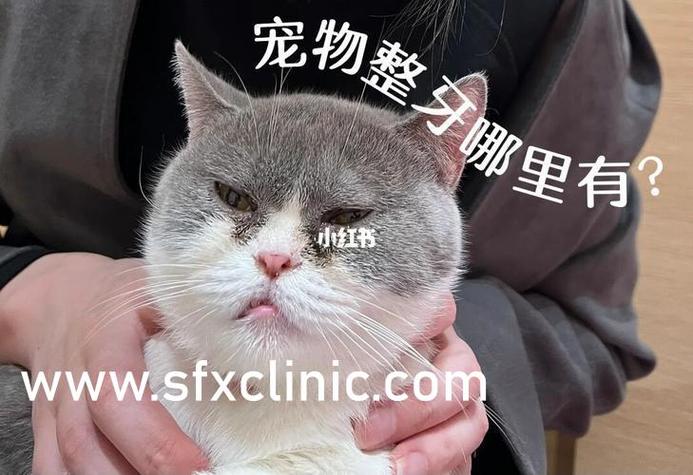 触摸游戏模拟器下载游戏截图