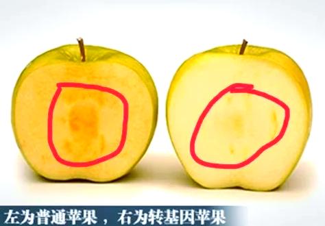 华为手机资料怎么导入苹果图标
