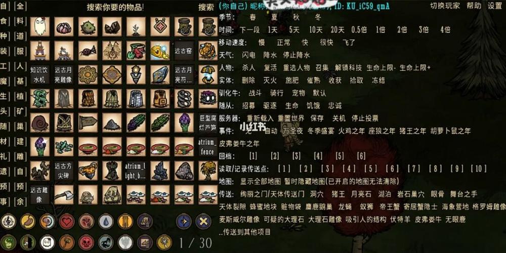 steam饥荒控制台打不开游戏截图