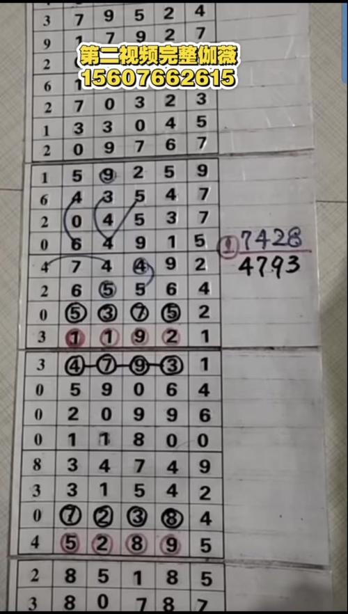 排列五基本走势图综合版带连线图标