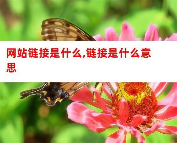 链接是什么意思缩略图