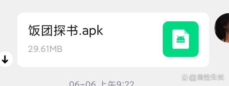 饭团探书旧版本v1.20.199安卓版图标