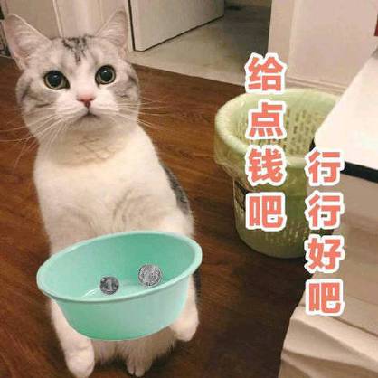 给点钱吧表情包