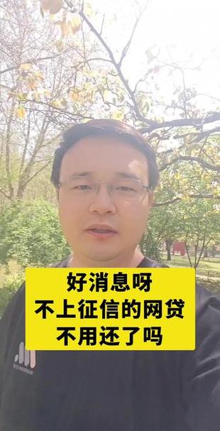 网贷没上征信可以不还吗游戏截图