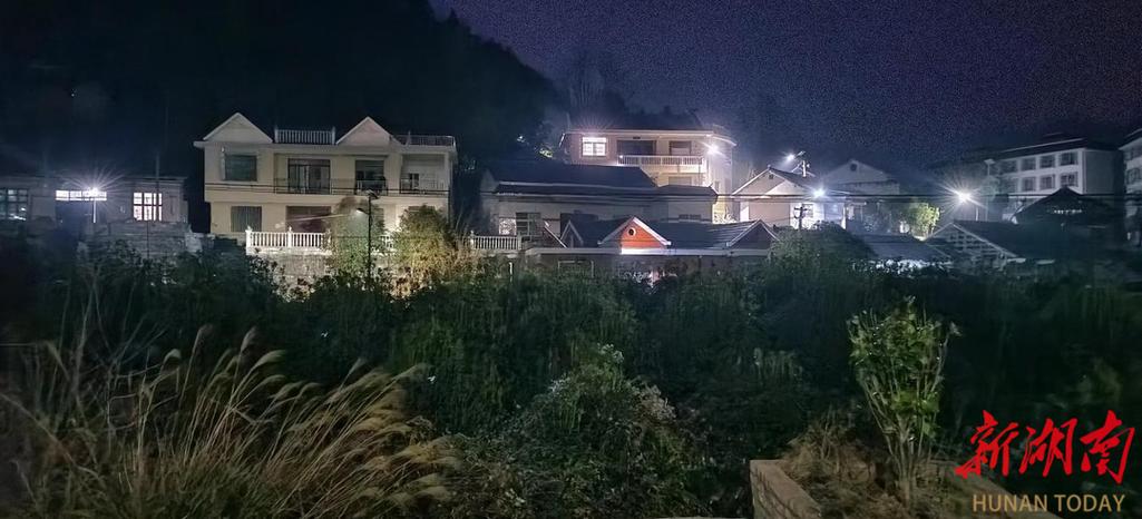 村民之夜动画免费观看