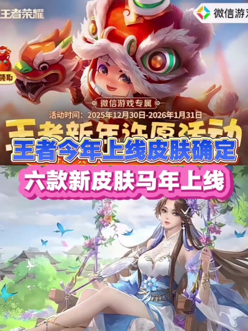 王者皮肤记录怎么查