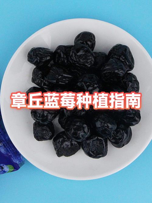山东蓝莓为何要尽量少吃图标
