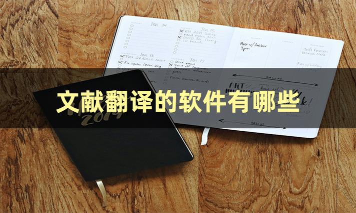 英文文献翻译软件缩略图