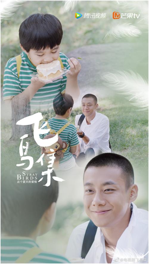 电视剧飞鸟集免费观看缩略图