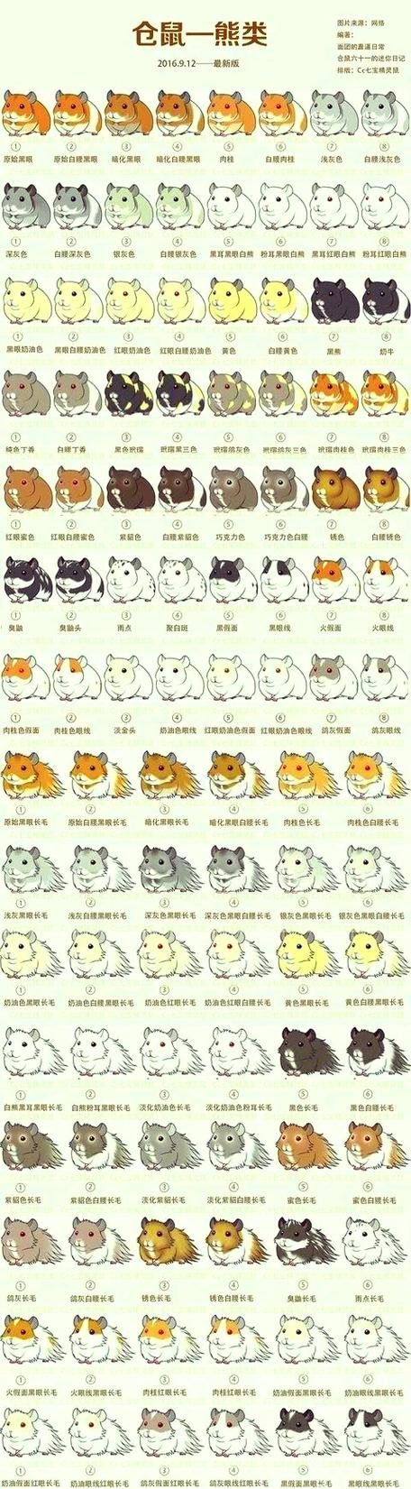 金丝熊咬人怎么惩罚图标
