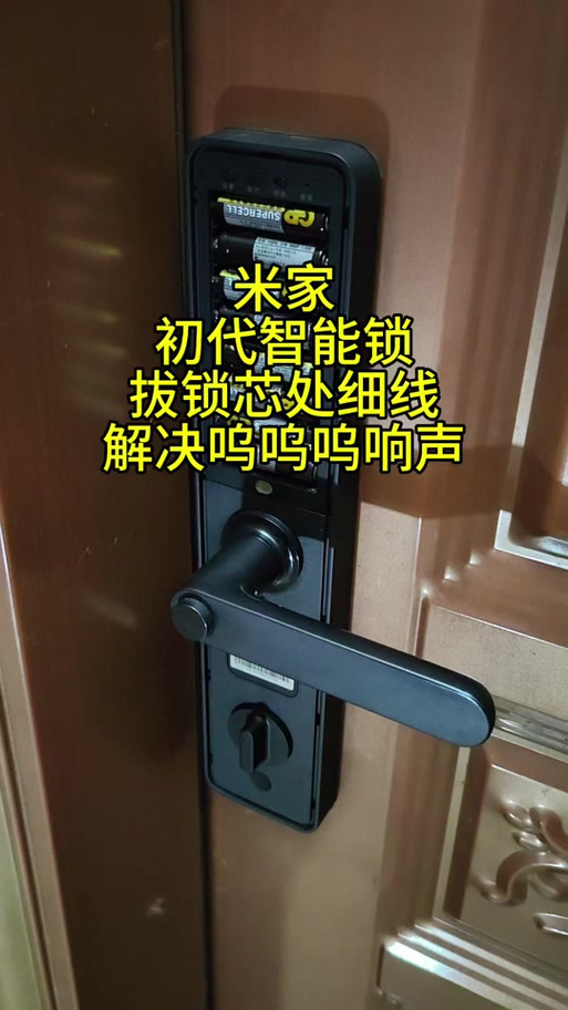 小米门锁e30怎么重置图标