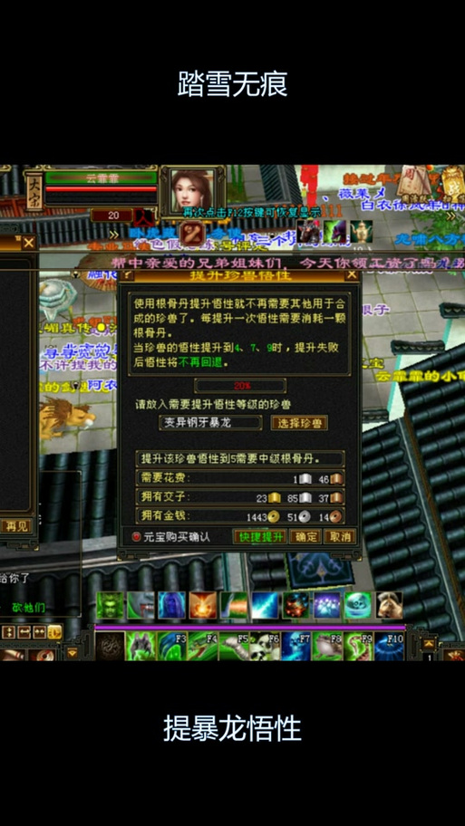 天龙八部悟性提升技巧缩略图
