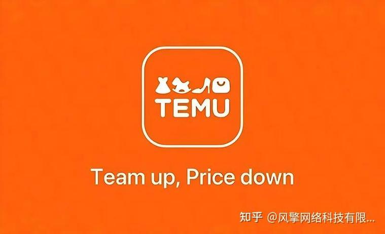 team跨境电商