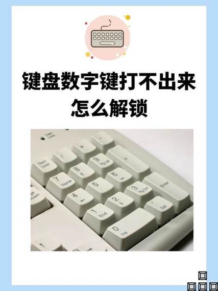 键盘输不了数字怎么办缩略图